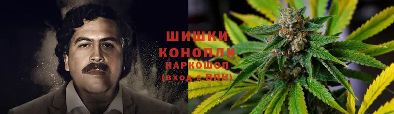 продажа наркотиков  Татарск  Канабис THC 21% 